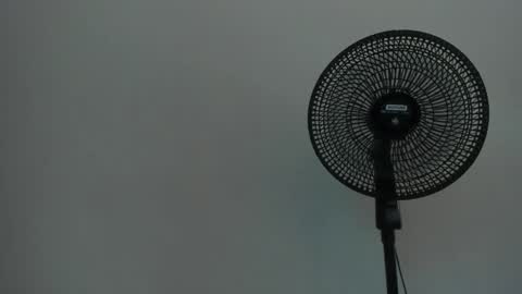 Ariel  online show from 12-12-24, 07:30