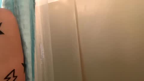 Snapshot of arielwyld chatting on 01-06-25, 01:08 ariel colin when hes here online show from 01-06-25, 01:08