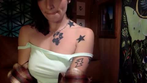 Snapshot of arielwyld chatting on 02-21-25, 12:49 ariel colin when hes here online show from 02-21-25, 12:49