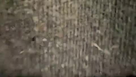 Snapshot of ariicutekitty chatting on 01-06-25, 04:26 airskiii online show from 01-06-25, 04:26