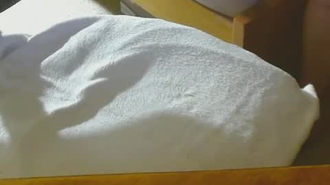 Snapshot of arnie12 chatting on 12-22-24, 08:47 Arnie online show from 12-22-24, 08:47