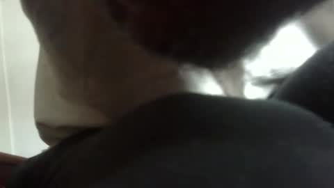 Arteblazze not daddy boy bitch or nigga online show from 02-09-26, 05:06