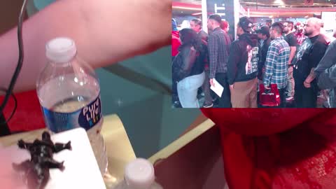 SweetAshCheeks online show from 01-19-26, 04:05