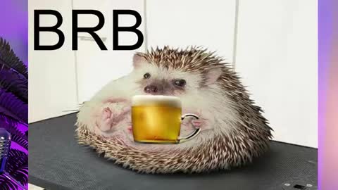 AshleyAshe  online show from 02-16-25, 11:26