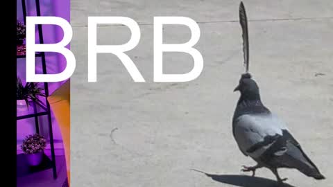 AshleyAshe  online show from 03-07-25, 05:08