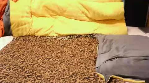 ashlery  online show from 11-17-25, 04:18