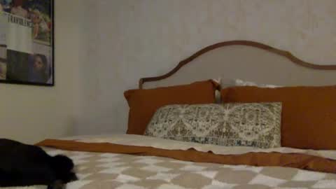 ashley online show from 03-31-26, 01:51