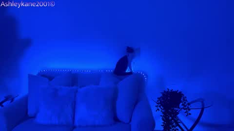 Snapshot of ashleykane2001 chatting on 01-20-25, 04:54 Ashley online show from 01-20-25, 04:54