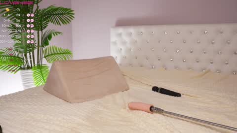 Amy  online show from 01-25-25, 08:53