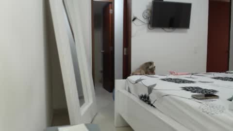 AshlyMoon online show from 02-15-25, 09:37