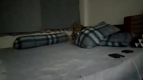 Snapshot of asianthai chatting on 09-21-25, 09:27 asianthai online show from 09-21-25, 09:27