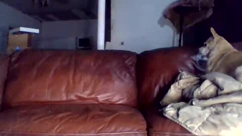 Snapshot of assholeslut9000 chatting on 12-15-25, 01:43 Tell me spread and Ill spread online show from 12-15-25, 01:43