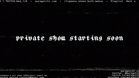 Snapshot of auragotchi chatting on 01-04-25, 11:06 Aurora  Aura online show from 01-04-25, 11:06
