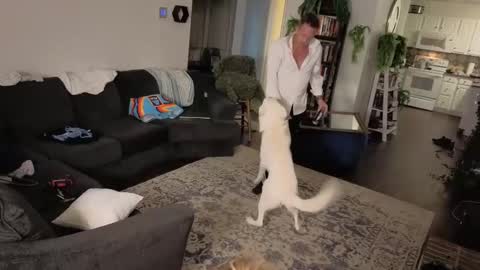 Snapshot of auroraandorion chatting on 10-16-25, 11:28 Aurora and Orion online show from 10-16-25, 11:28