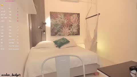 Snapshot of avalon_badger chatting on 10-14-25, 07:47 Avalon online show from 10-14-25, 07:47