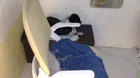 Rhian online show from 09-09-25, 02:49