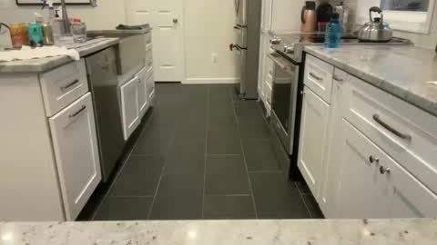 avgdiver online show from 03-23-26, 11:14