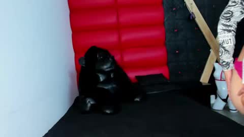 avi_thomsonn online show from 03-13-26, 03:13