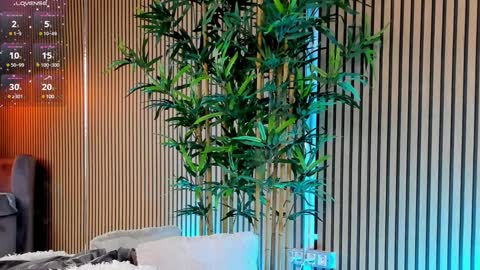 AVRILL CYRUX online show from 01-28-25, 11:49