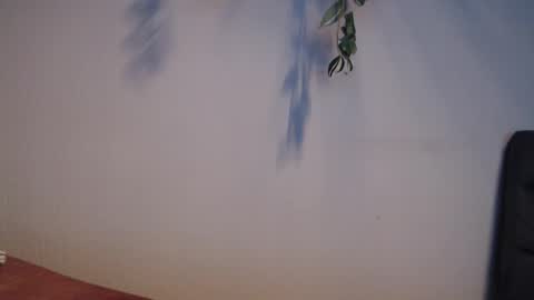 PiPa online show from 05-19-26, 07:20