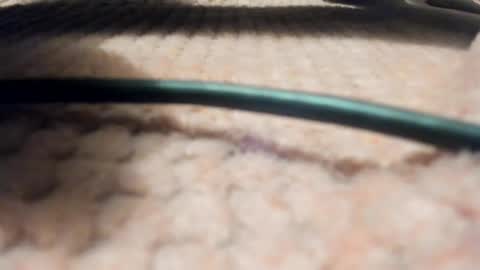 Axell online show from 03-28-26, 09:09