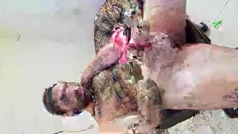 deliciosodemente online show from 03-04-26, 12:38