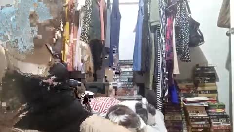 babe4u1234 online show from 12-03-24, 11:33