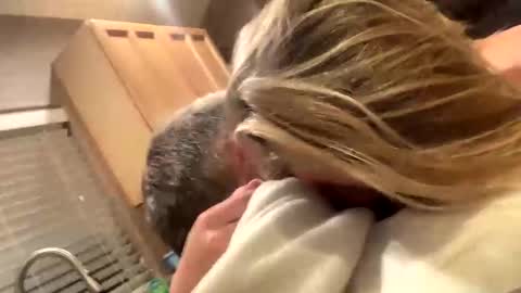 baby blues online show from 01-10-25, 01:53