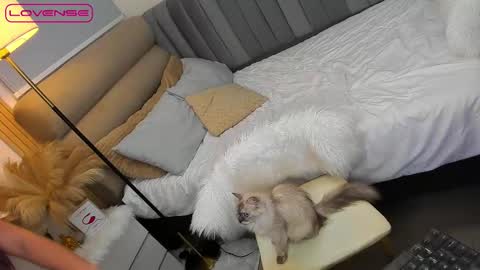Snapshot of babygoddess4u chatting on 10-27-25, 01:48 ASK ME IN PM online show from 10-27-25, 01:48