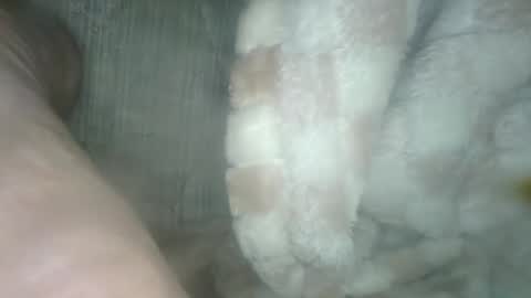 Snapshot of babyxxxangel chatting on 12-19-24, 05:40 babyxxxangel online show from 12-19-24, 05:40