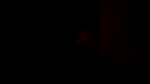 backencracken online show from 07-26-26, 11:28
