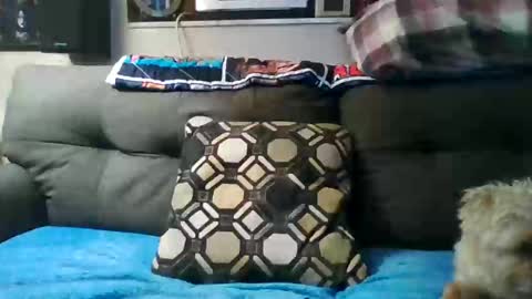 badcady0 online show from 09-30-25, 03:22