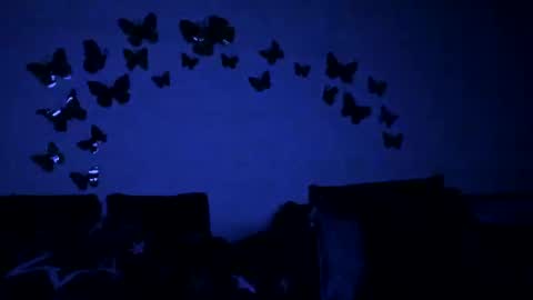 Gina online show from 02-12-25, 06:09