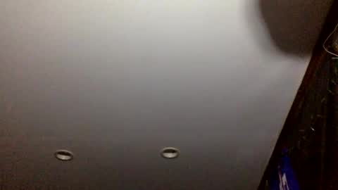 bagchaserbih online show from 04-02-26, 07:17