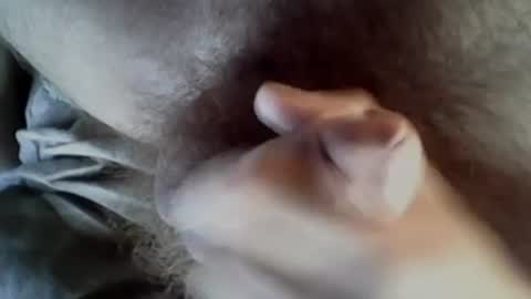 Baghira online show from 09-27-25, 08:30