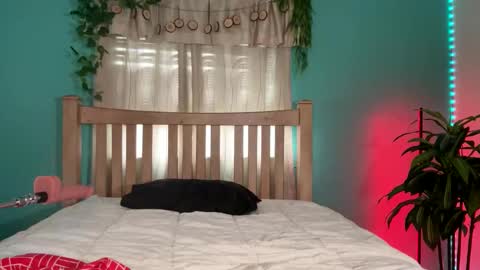 My name  BailiJade   online show from 09-09-25, 03:44