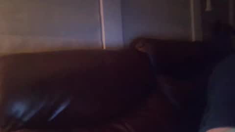 bake66999 online show from 02-05-26, 06:18