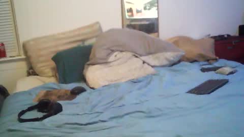 bakerbeachismygig online show from 02-15-26, 01:57