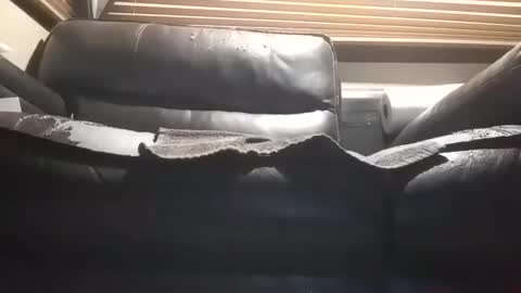 baobabtree10 online show from 10-28-25, 12:09