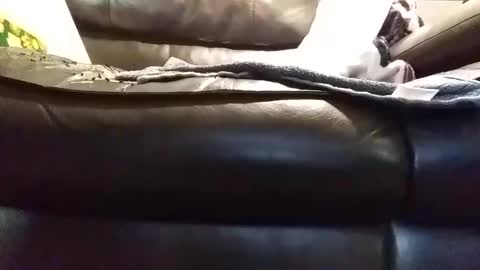 baobabtree8 online show from 01-09-25, 01:45