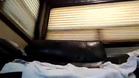 baobabtree8 online show from 02-26-25, 02:14