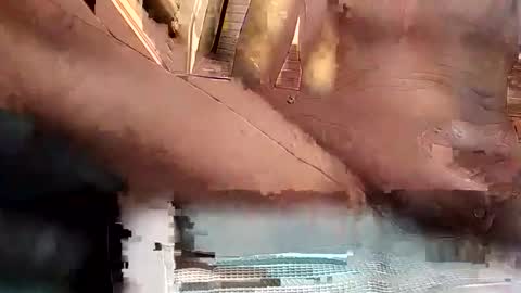 baobabtree8 online show from 10-15-25, 02:17