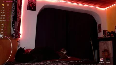 lilithgreen7 online show from 12-20-25, 03:46