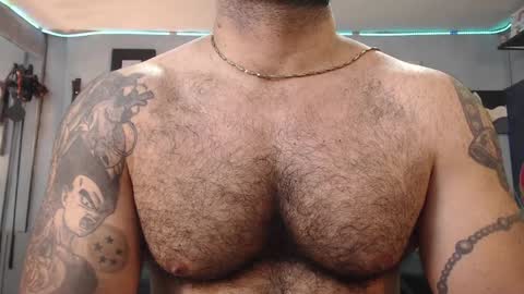 Snapshot of bardockroy_ chatting on 02-01-25, 09:51 bardock online show from 02-01-25, 09:51