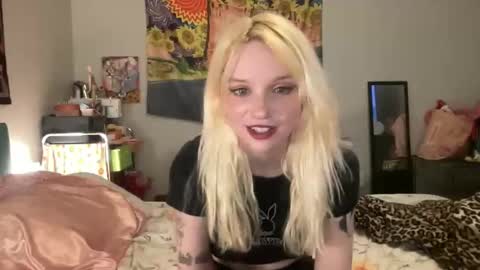 Snapshot of bardoteyed chatting on 12-02-25, 08:37 Bardot Eyed online show from 12-02-25, 08:37