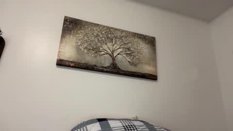 chicka online show from 02-14-25, 06:02