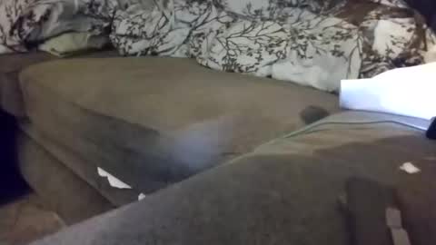 Snapshot of barrett4200 chatting on 01-20-25, 12:15 barrett4200 online show from 01-20-25, 12:15