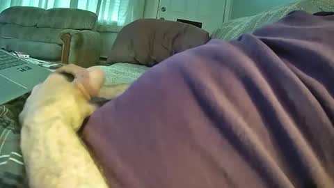 bcema2 online show from 10-24-25, 03:30