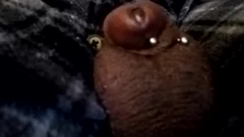 bcfalcon69 online show from 02-26-26, 05:06