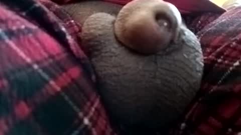 bcfalcon69 online show from 06-01-26, 01:24